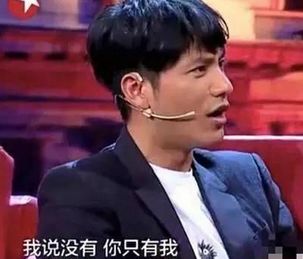 黄奕前夫黄毅清揭陈坤儿子生母真相(图)