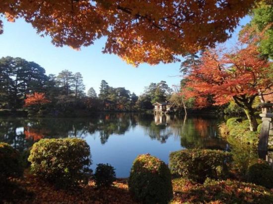 红叶 奈良公园 兼六园