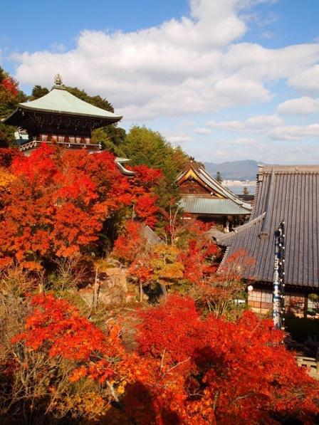 红叶 奈良公园 兼六园