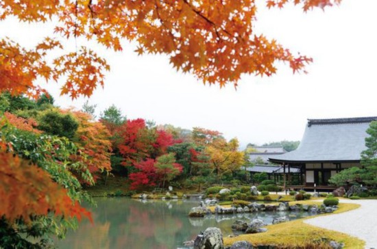 红叶 奈良公园 兼六园