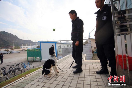 探秘湖北宜昌警犬基地 特殊警员身怀绝技(高