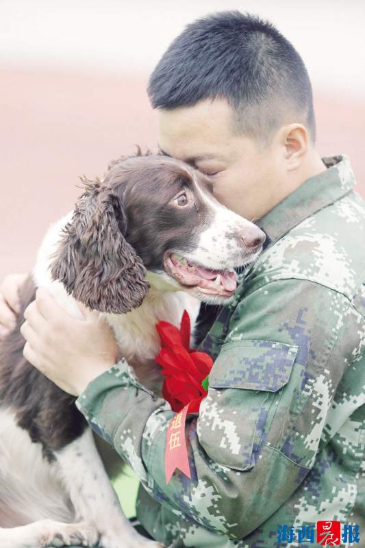 厦门消防搜救犬队驯导员易文斌昨退伍 挥泪告
