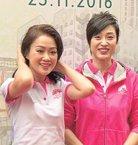 梁小冰陈法蓉不和 两个人究竟在撕什么