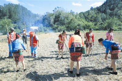 讲述海南黎族农耕历史：山兰稻香千百年