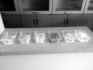 如厕纸丢马桶还是纸篓?南京专家:卫生纸可冲走