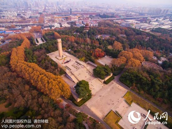 南京雨花台风景区色彩鲜明冬意正浓