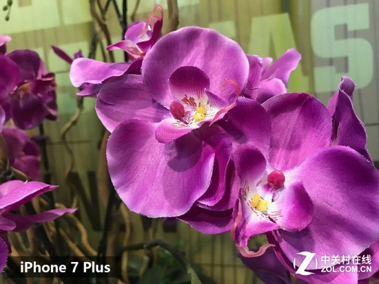 最强拍照手机之争 苹果与索尼谁更强?--人民网