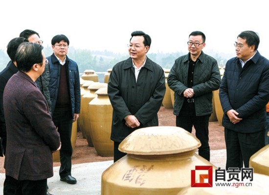 李刚到富顺县马安村调研检查贯彻落实自贡市第