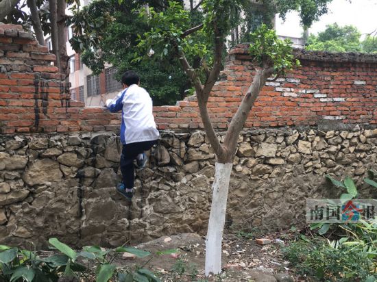 学生为走捷径屡次打缺围墙 小区业委会多次修补 ...