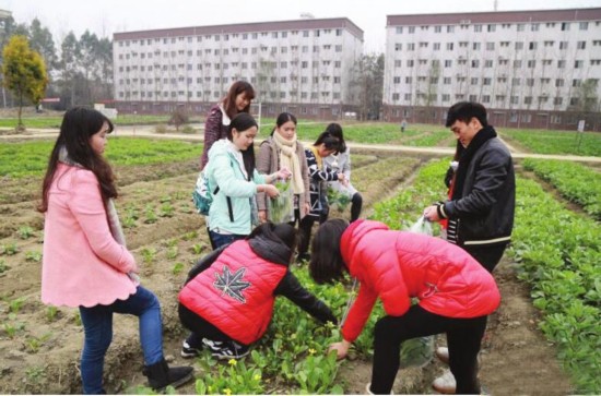 高校开设种田课学生下地挣学分