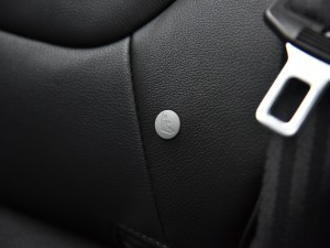   2015 1.5TGI TST