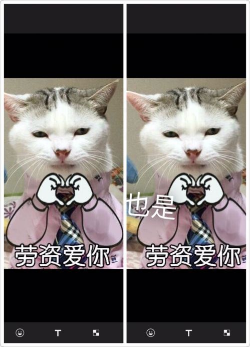 86180CCCD54D06E5B10BDBC024A1920A