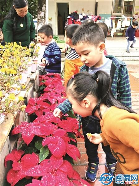 冬至遇雨，金山幼儿园孩子们在观赏雨后花瓣上雨滴