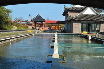南通海安海北村引入池塘工厂化养鱼 提高效益