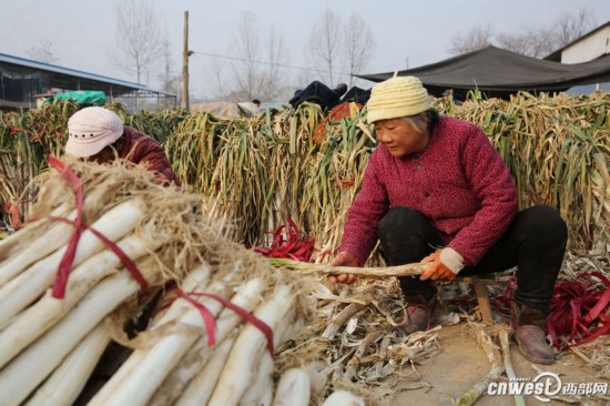 点击图片查看详情 武功县人口网_【原文】 堪笑狂夫妄意为,不循古法逞(3)