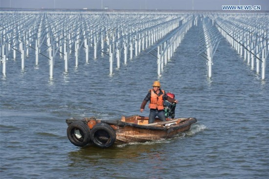 CHINA-ZHEJIANG-CIXI-SOLAR POWER-FISHERY (CN)