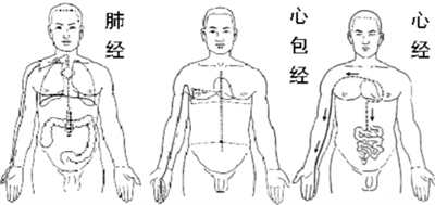 经络通，身体强，经络操做起来