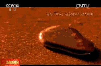 776942629430089035.jpg