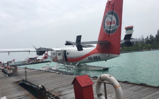 壕!王思聪被曝承包马尔代夫小岛 和好友钓鱼