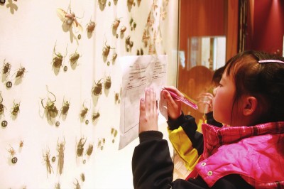 博物馆课堂让师生收获了什么