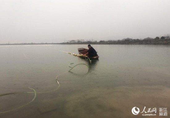 江诸暨山下湖镇:治水与转型并举 珍珠养殖业焕