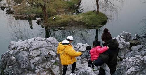 明星照看孩子接地气,简简单单没有光环