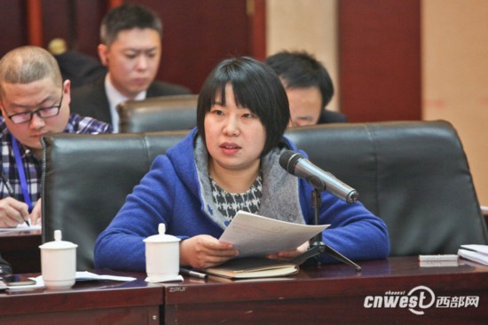 两会聚焦:政协委员讨论陕西如何破解结构不优