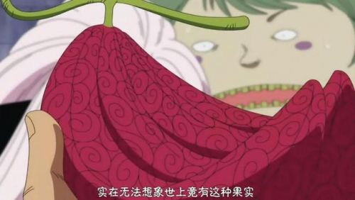 《海贼王》中已知外形的恶魔果实有哪些?属于