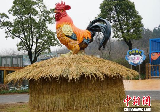 巨型大公鸡亮相无锡动物园 造型栩栩如生