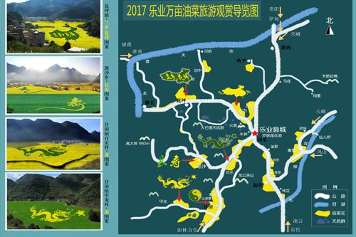 世界长寿之乡广西乐业万亩油菜花海等你来