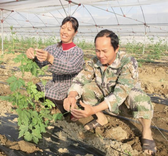 北海市海城区近八成贫困户进入2016年脱贫户