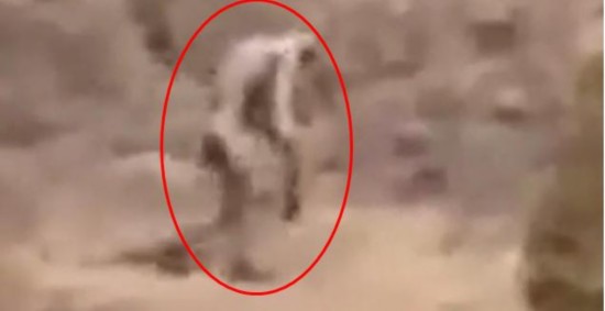 吓死了!吸血鬼怪兽再现?葡萄牙沙漠现人形怪兽 像人一样行走--河南频道--人民网
