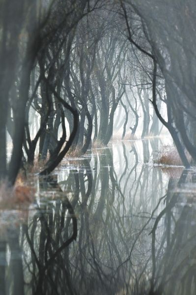 驻马店汝南宿鸭湖水库 唯美风景似童话世界