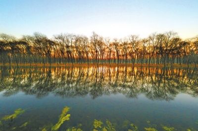 驻马店汝南宿鸭湖水库 唯美风景似童话世界