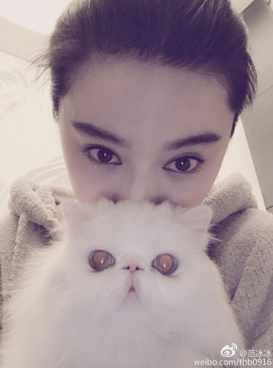 范冰冰抱爱猫解闷 娇滴滴皮肤白过猫