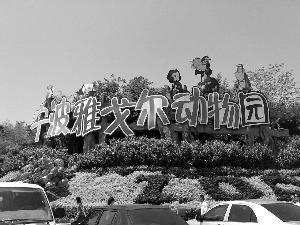 宁波老虎咬人动物园究竟该不该担责? 律师说法