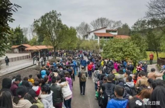 家庭月总收入_春节旅游总收入
