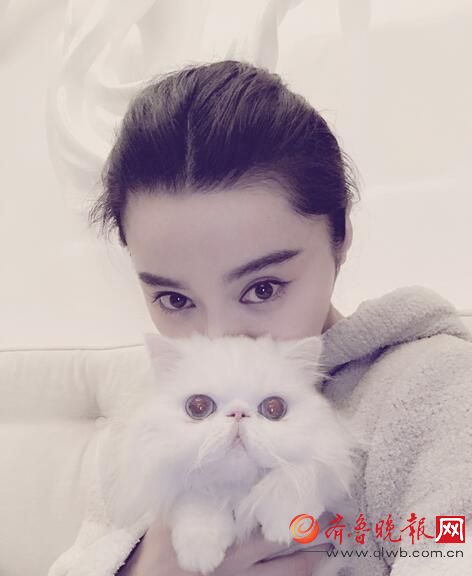 范冰冰微博晒照抱着爱猫自拍 主人和宠物都超