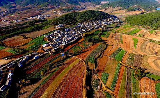 （生態(tài)）（2）云南馬龍：美麗山鄉(xiāng)春意詩(shī)畫(huà)