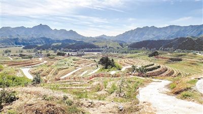 京冀共建密云水库上游生态清洁小流域(图)