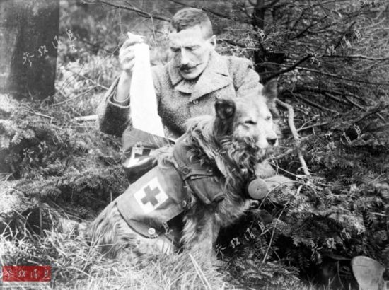 一封电报改变历史?德国墨西哥曾密谋瓜分美国