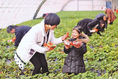 休闲农业 助农增收