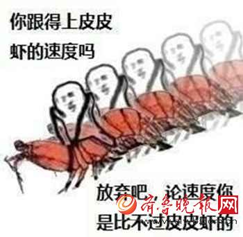 皮皮虾我们走什么意思有什么特殊的含义? 