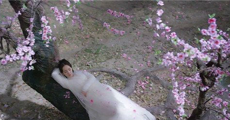 《三生三世十里桃花》杨幂角色有几重身份 不同身份、经历介绍--重庆频道--人民网