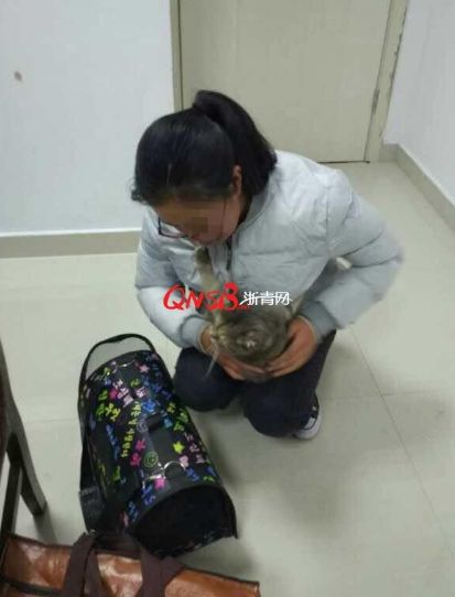 女大学生把猫藏肚子扮孕妇乘火车 安检时猫叫