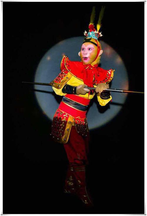 2017年鸡年元宵节灯谜及答案大全 2017元宵节