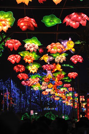 Lanterns are on display at the Caideng Park in Zigong, Southwest China's Sichuan Province. Photo: Peng Ying
