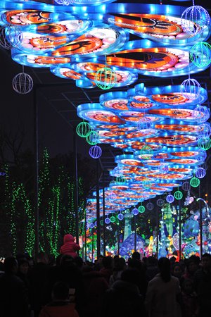 Lanterns are on display at the Caideng Park in Zigong, Southwest China's Sichuan Province. Photo: Peng Ying