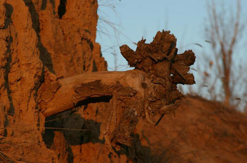  ��������塢�ָ��Ŵ�ò����ǧ��Ŵ嶡���������ؼ�  ��������塢�ָ��Ŵ�ò����ǧ��Ŵ嶡���������ؼ� 