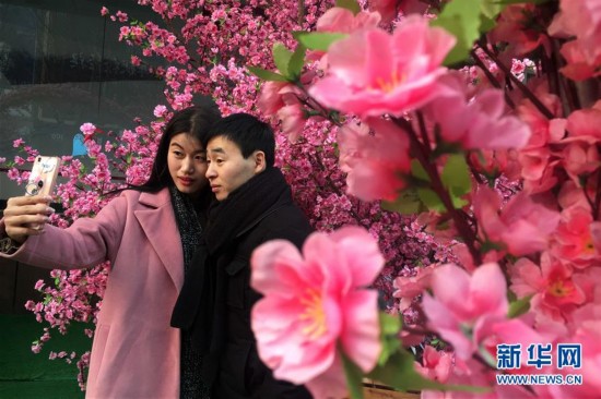 ���»�������4��ɽ�����ϣ������һ�����Ũ